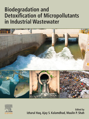 cover image of Biodegradation and Detoxification of Micropollutants in Industrial Wastewater